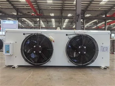 Издръжлив въздушен охладител DJ20 с мощност 3400 W за 20㎡ хладилна стая